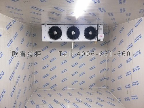 建個(gè)生鮮冷凍冷庫(kù)多少錢一平方.jpg
