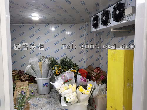 鮮花保鮮庫.jpg