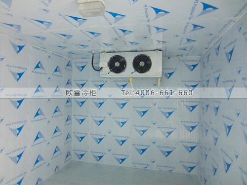 凍庫(kù)建造廠家.jpg