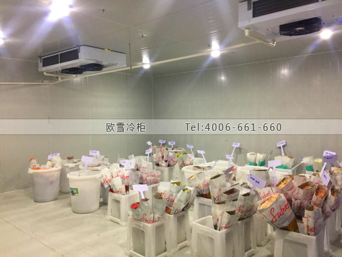 廣東省深圳市福田區自主創業孵化基地保鮮庫