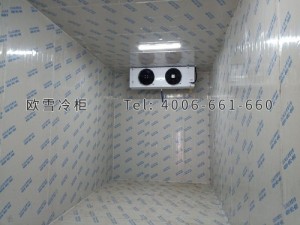 振新(重慶)農業科技開發有限公司物流倉儲冷庫