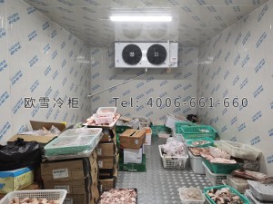 東莞市塘廈迎賓大排檔食品食材雙溫冷藏冷凍冷庫安裝