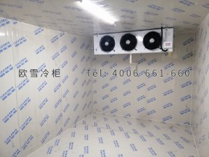 湖南省衡陽市一家人生鮮配送食品倉儲冷庫安裝