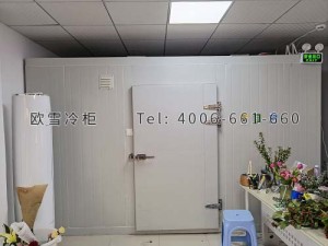 深圳市龍崗區(qū)坂田百花園鮮花保鮮冷庫安裝