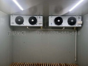 廣西桂平市疾病預防控制中心醫藥冷庫安裝