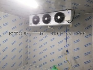 湖南中科存儲(chǔ)科技有限公司小型冷藏冷庫安裝
