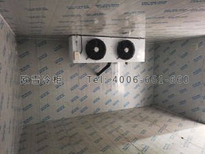 江蘇省南京市江寧區遠方物流小型冷凍倉儲冷庫安裝