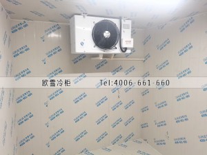 江蘇省南京市15立方的小型冷藏冷庫安裝