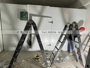 廣東深圳兩個(gè)小型冷藏冷庫安裝案例
