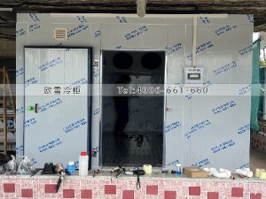 香港30立方的小型水產品冷凍冷庫安裝案例