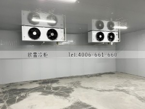 江西省萍鄉市上粟縣冷藏冷庫安裝案例