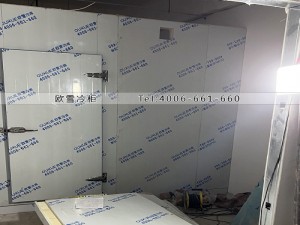 廣東深圳坪山區(qū)55立方的冷藏冷庫安裝案例